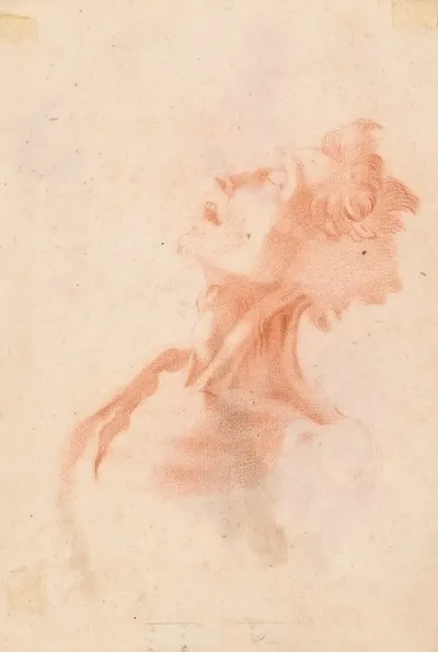 Head Of A Man Face In Profile