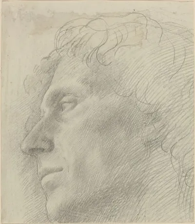 Head Of A Man Facing Left Ii