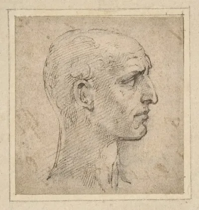 Head Of A Man In Profile To Right