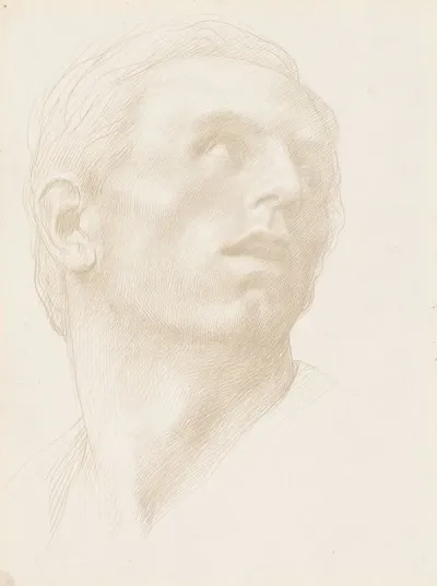 Head Of A Man Looking Up To The Right