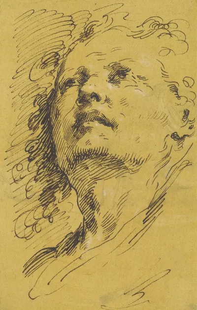Head Of A Man Looking Up