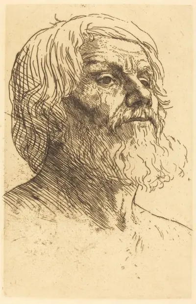 Head Of A Man Tete Dhomme Vi
