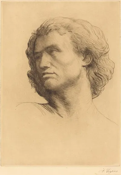 Head Of A Man Tete Dhomme
