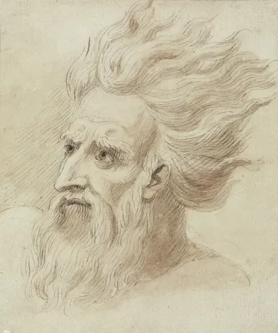 Head Of A Man With A Beard And Long Hair In The Wind