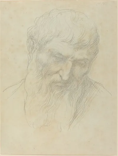 Head Of A Man With Curly Hair And Beard