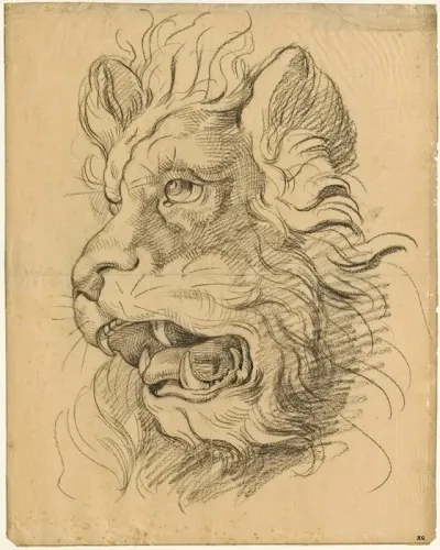 Head Of A Roaring Lion