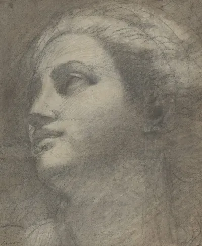 Head Of A Woman Looking To Upper Left