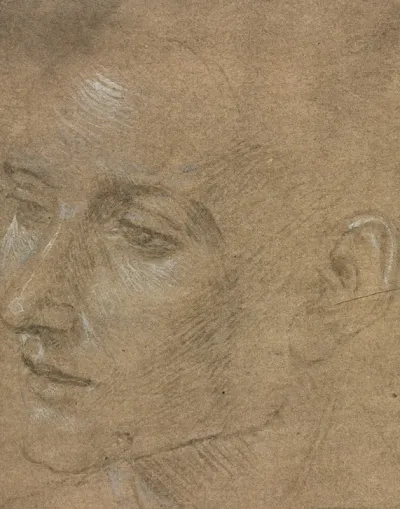 Head Of A Young Man 4