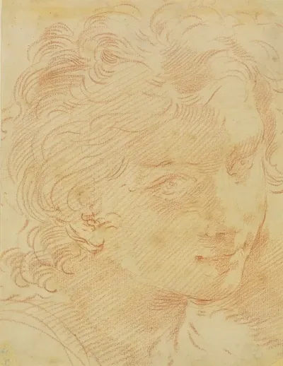 Head Of A Young Man 8