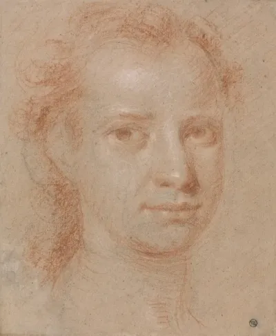 Head Of A Young Woman Or Man