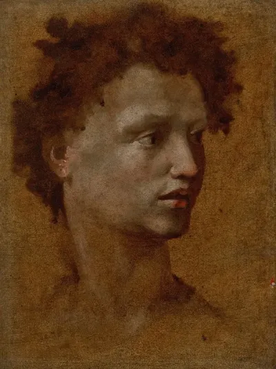 Head Of A Youth 4
