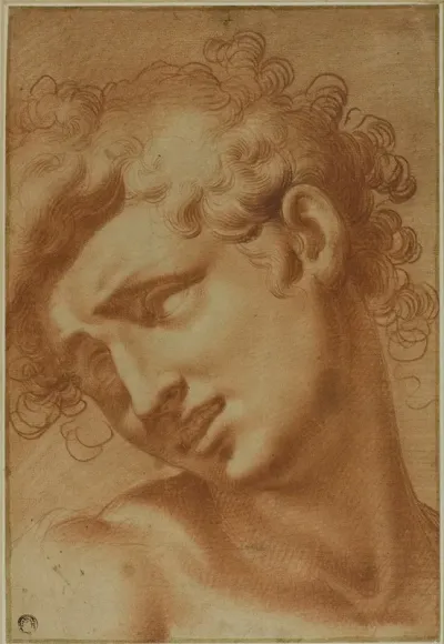 Head Of A Youth 5