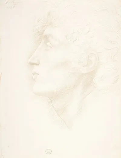 Head Of An Irish Girl