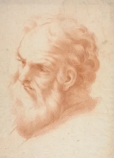 Head Of An Old Man 7