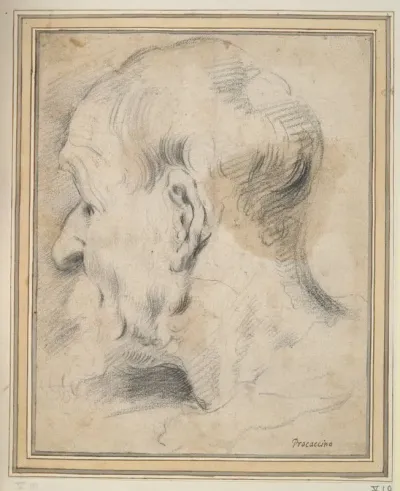 Head Of An Old Man In Profile