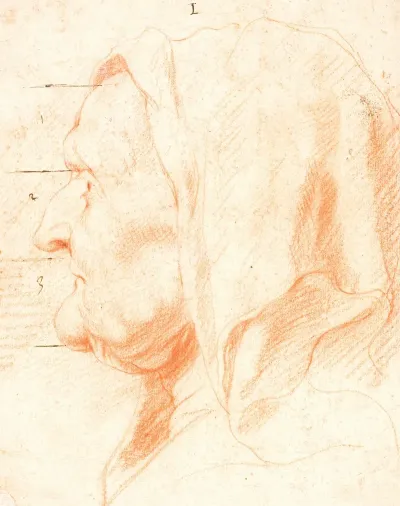 Head Of An Old Woman In Left Profile