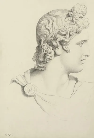 Head Of Apollo Belvedere