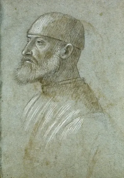 Head Of Bearded Man Wearing A Cap In Profile To The Left