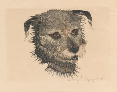 Head Of Beauty The Dog 2