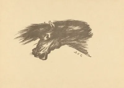 Head Of Horse
