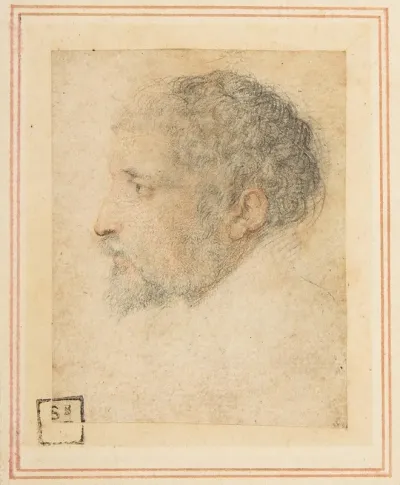 Head Of Man In Profile To Left
