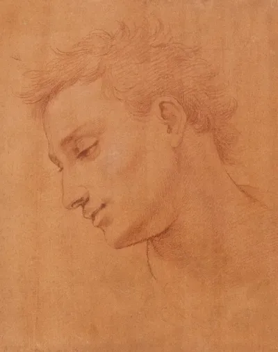 Head Of Man In Profile To The Left