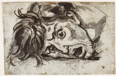 Head Of Man Open Mouthed And Wide Eyed
