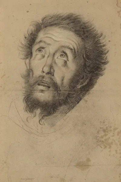 Head Of Saint Francis 2