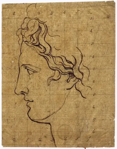Head Of The Apollo Belvedere Seen In Profile