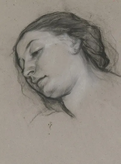 Head Of The Reading Woman