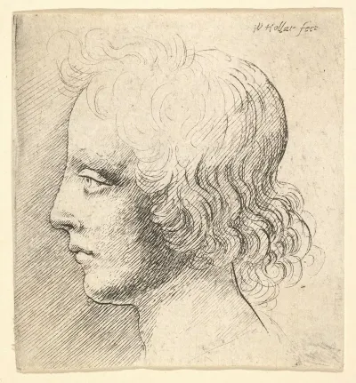 Head Of Young Man 2