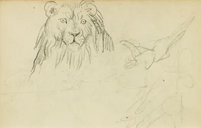 Head On View Of Seated Lion