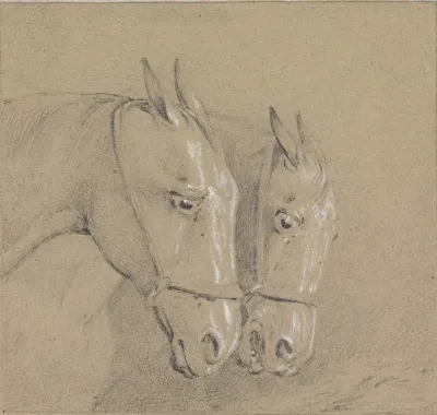 Heads And Necks Of Two Horses Wearing Bridles Right Profiles