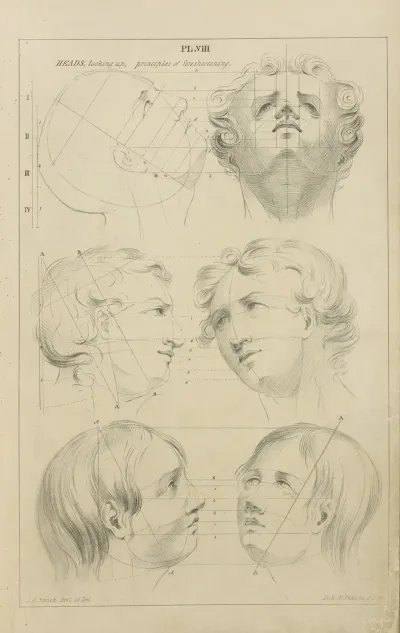 Heads Looking Up Principles Of Foreshortening