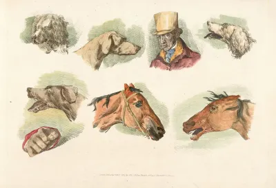 Heads Of Dogs Horses And Of A Man