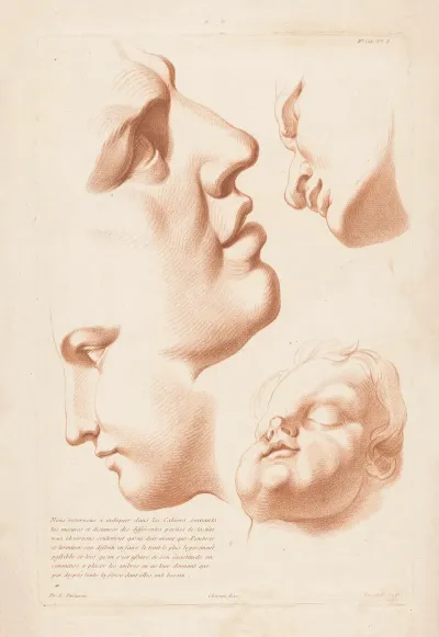 Heads Of Man Woman And Child
