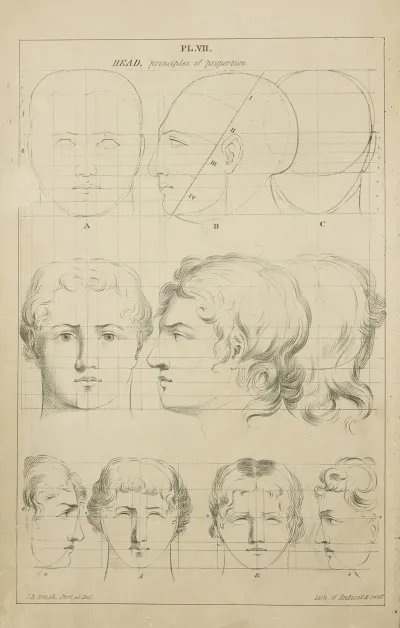 Heads Principles Of Proportion