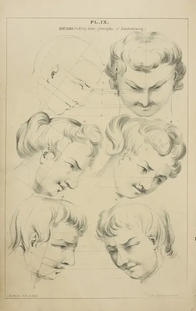 Heads Showing Character By Variation From A Given Rule