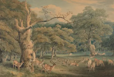 Hearnes Oak Windsor Forest