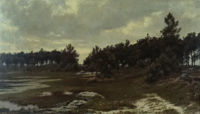 Heath Landscape In The Kempen