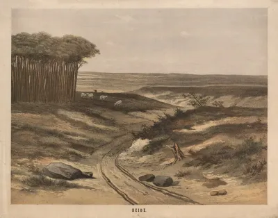 Heide