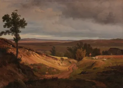 Heidelandschaft Bei Silkeborg In Jutland Danemark
