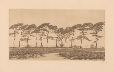 Heidelandschap 2