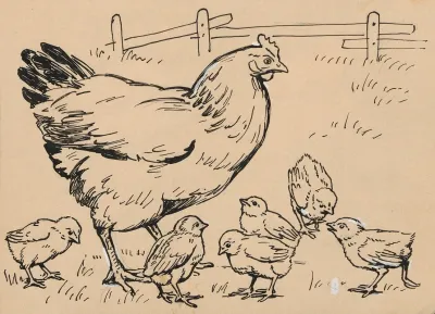 Hen And Chicks In A Chicken Coop