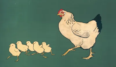 Hen Chickens