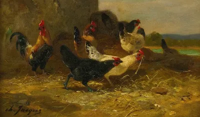Hens And Cocks