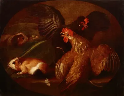 Hens And Guinea Pigs