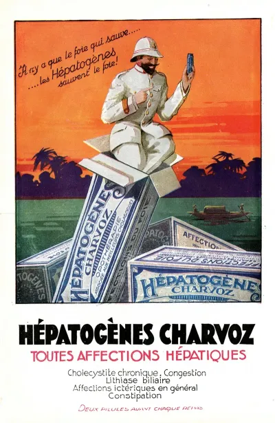 Hepatogenes Charvoz 6