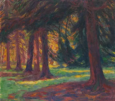 Herbstsonne Im Walde