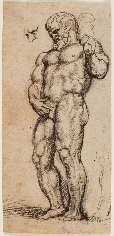 Hercules 5